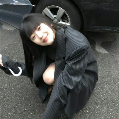 猫在爬